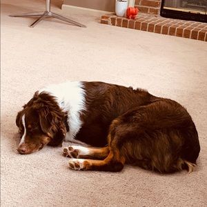 Meet your Posher, Esteban